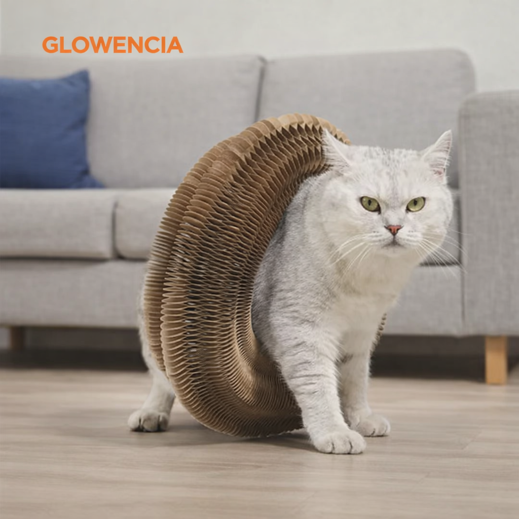 Grattoir Essentiel pour Chat – Griffes Saines, Canapé Protégé