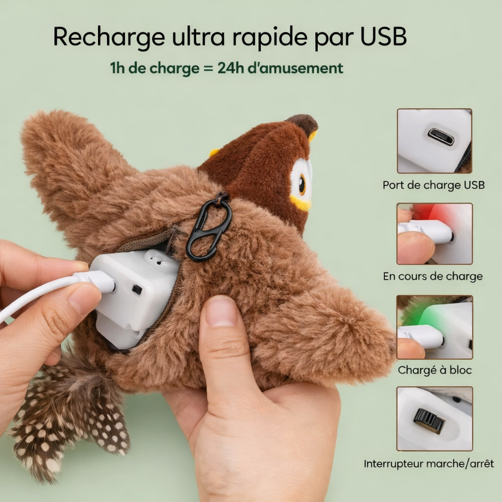 FlyBird™ – Impossible à ignorer pour votre chat