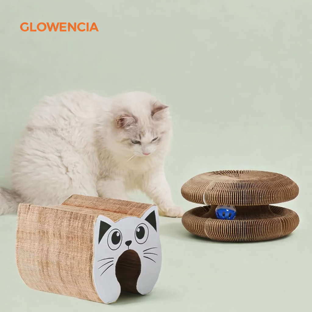 Grattoir Essentiel pour Chat – Griffes Saines, Canapé Protégé