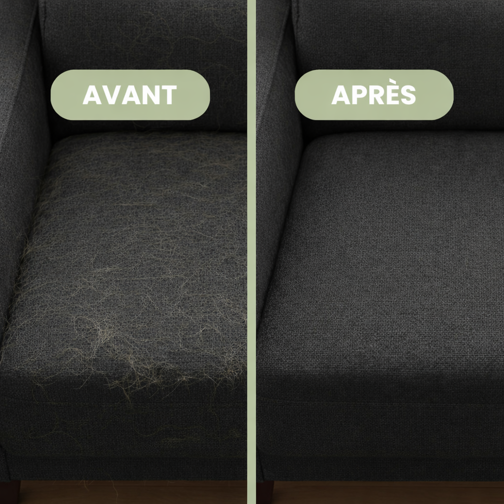CleanTouch -  Gant Anti-Poils Réutilisable & Écologique