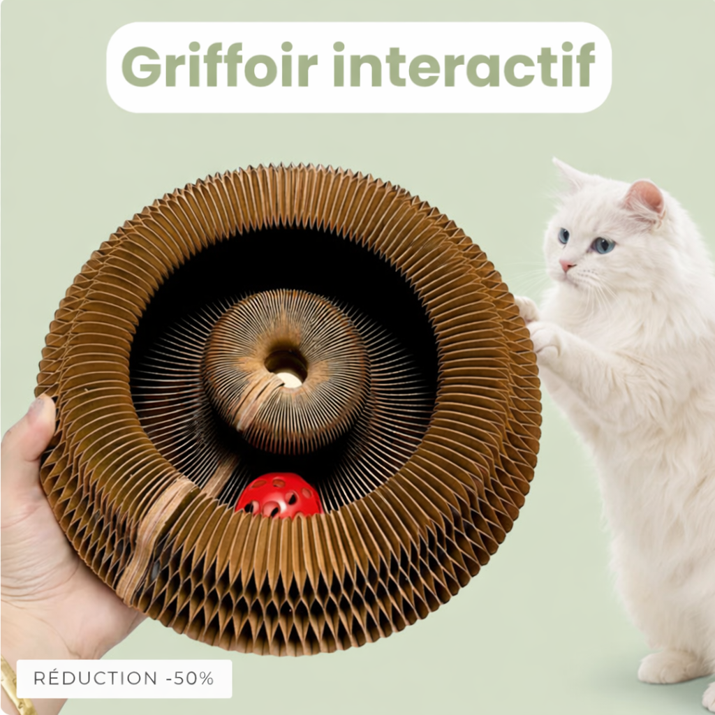 Grattoir Essentiel pour Chat – Griffes Saines, Canapé Protégé