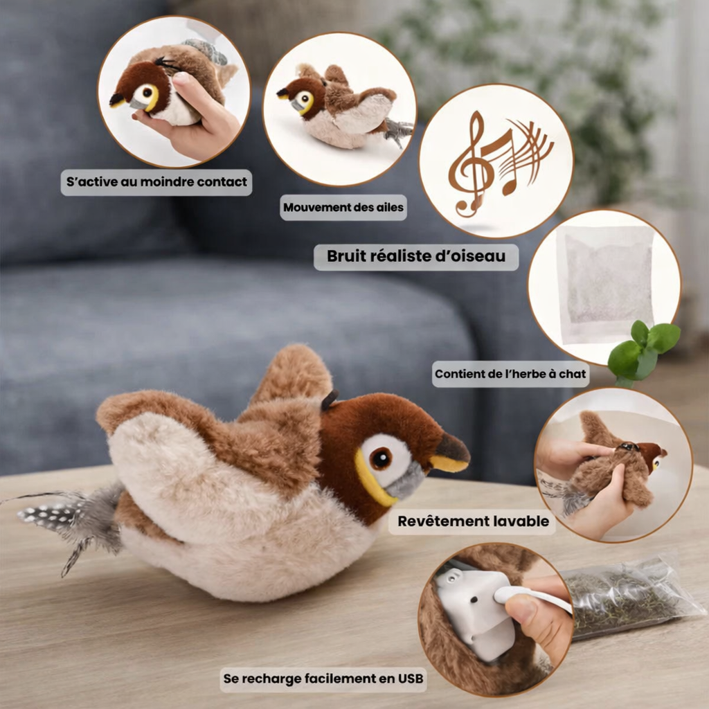 FlyBird™ – Impossible à ignorer pour votre chat